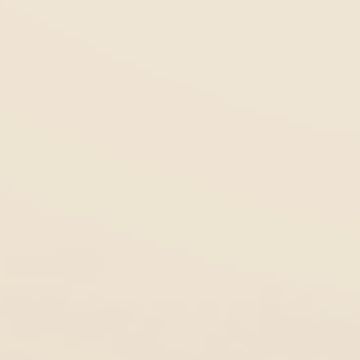 Swanlike - NP OW 1021 P