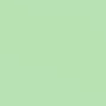 Sweet Kiwi - NP BGG 1650 P