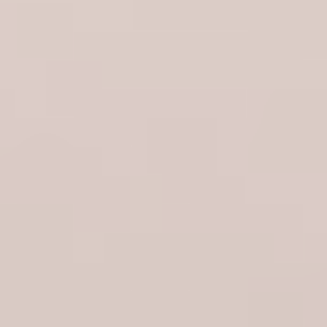 Taupe Brush - NP N 3378 P