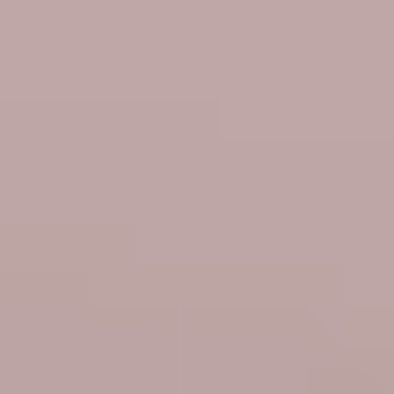 Teaberry Gray - NP N 1900 P