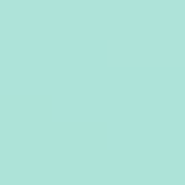 Teal Stone - NP BGG 2693 P