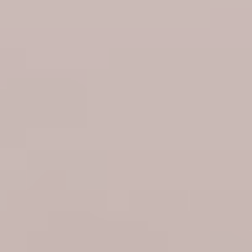 Tinted Glass - NP N 1909 P