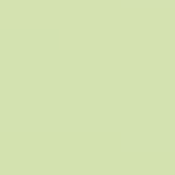 Tiny Leaf - NP BGG 1671 P