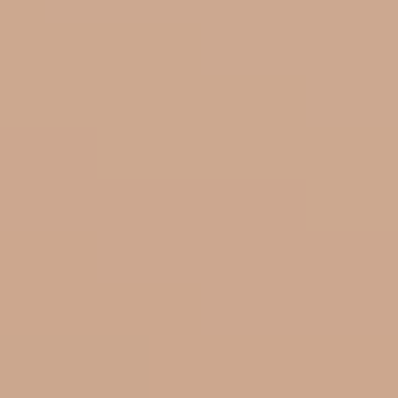 Toasted Almond - NP N 3132 T