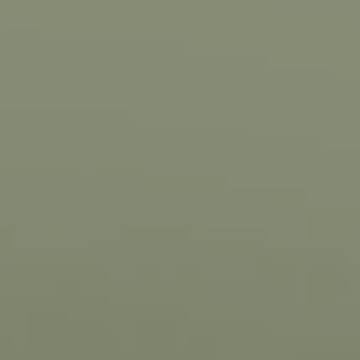 Torrents - NP BGG 1758 D