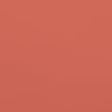 Tulip Blossom - NP R 2368 D