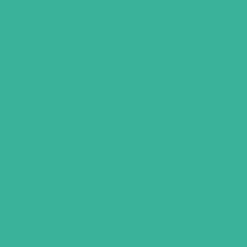 Turquoise Beads - NP BGG 1611 D