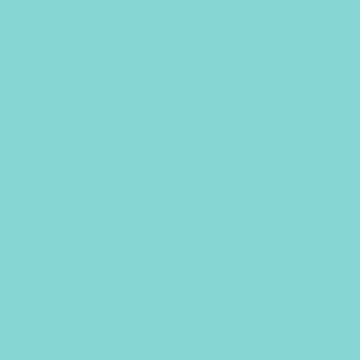 Turquoise Reflection - NP BGG 2742 P