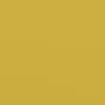 Vanishing Gold - NP YO 2535 A