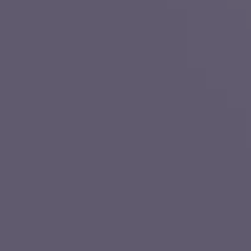 Velvet Carpet - NP N 3324 A