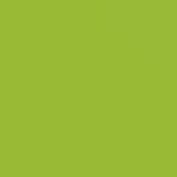 Very Lime - NP BGG 2608 A