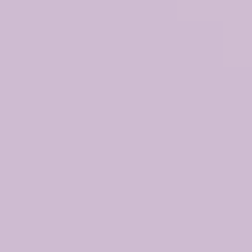 Violet Petal - NP PB 1404 P