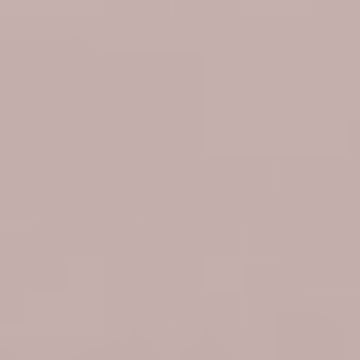 Weathered Brown - NP N 1895 P
