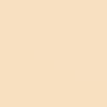 Whimsical - NP YO 2435 P