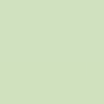White Fern - NP BGG 1782 P