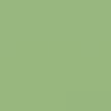 Wild Cactus - NP BGG 2628 D