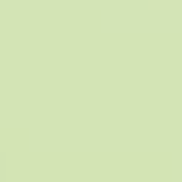 Willow Stem - NP BGG 1669 P