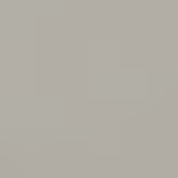 Wood Gray - NP N 3027 P