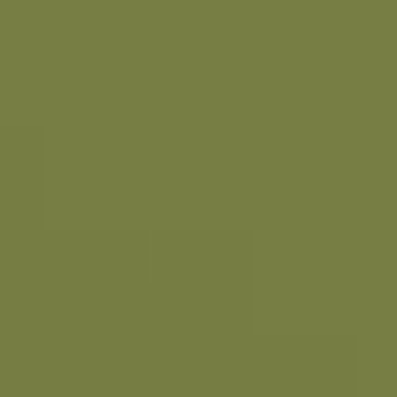 Woods Trail - NP AC 2123 A
