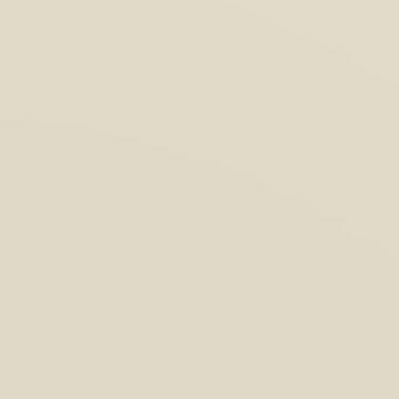 Woven Straw - NP N 3242 P