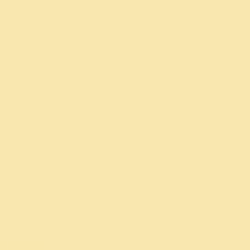 Yellow Bag - NP YO 1136 P