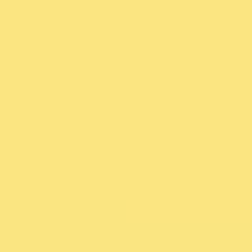 Yellow Band - NP YO 1119 T