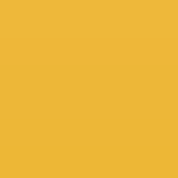 Yellow Blaze - NP AC 2053 A