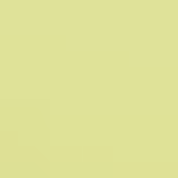 Yellow Grass - NP BGG 1685 T
