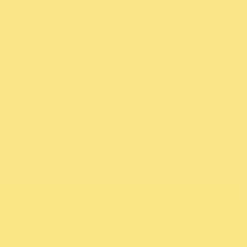 Yellow Prominence - NP YO 1121 T