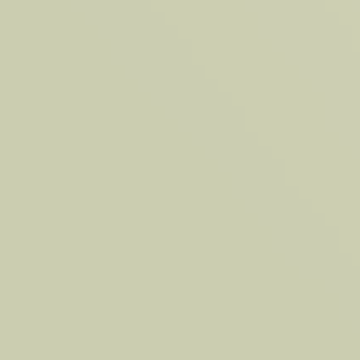 Young Bud - NP BGG 1741 P