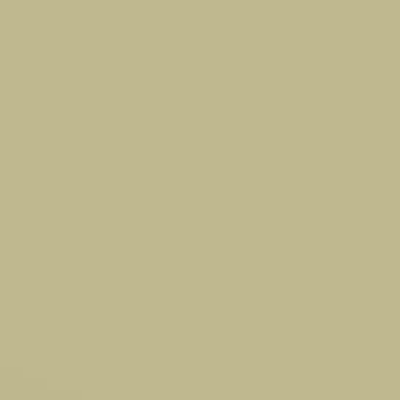 Young Stalk - NP BGG 1738 T